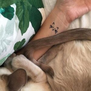 Kitty cat temporary tattoo