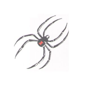 Spider Fake Tattoo – 2×2 inch