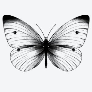 Simple butterfly temporary Tattoo