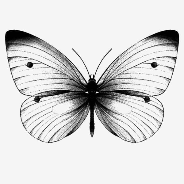 Butterfly fake tattoo design