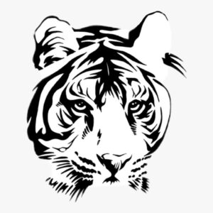 Tiger temporary Tattoo – Fake tattoos