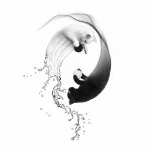 Yingyang Fake Tattoo Design