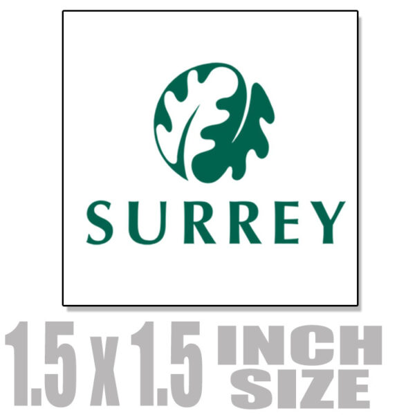 surrey temporary tattoos