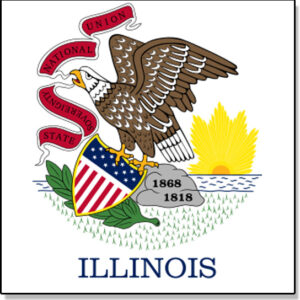 Illinois Fake Tattoo