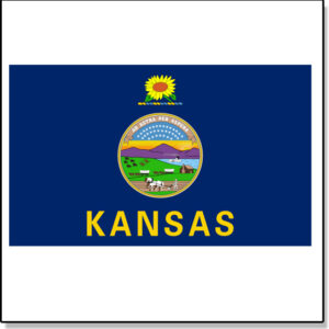 Kansas Fake Tattoo