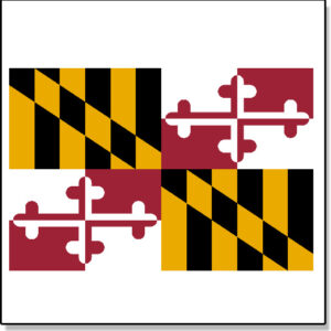 Maryland Fake Tattoo