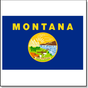 Montana Fake Tattoo