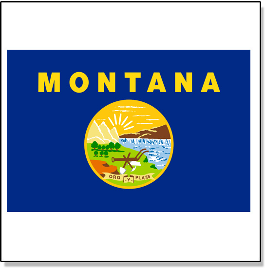 Montana temporary tattoos