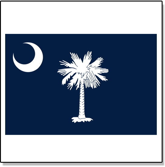 South Carolina temporary tattoos